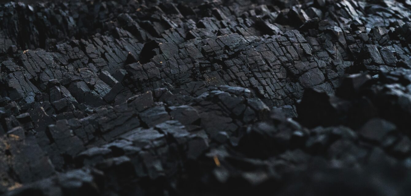 dexter-fernandes-AByHM2Q7wIk-unsplash