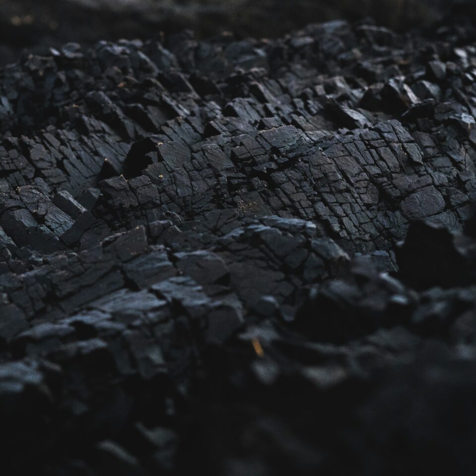 dexter-fernandes-AByHM2Q7wIk-unsplash