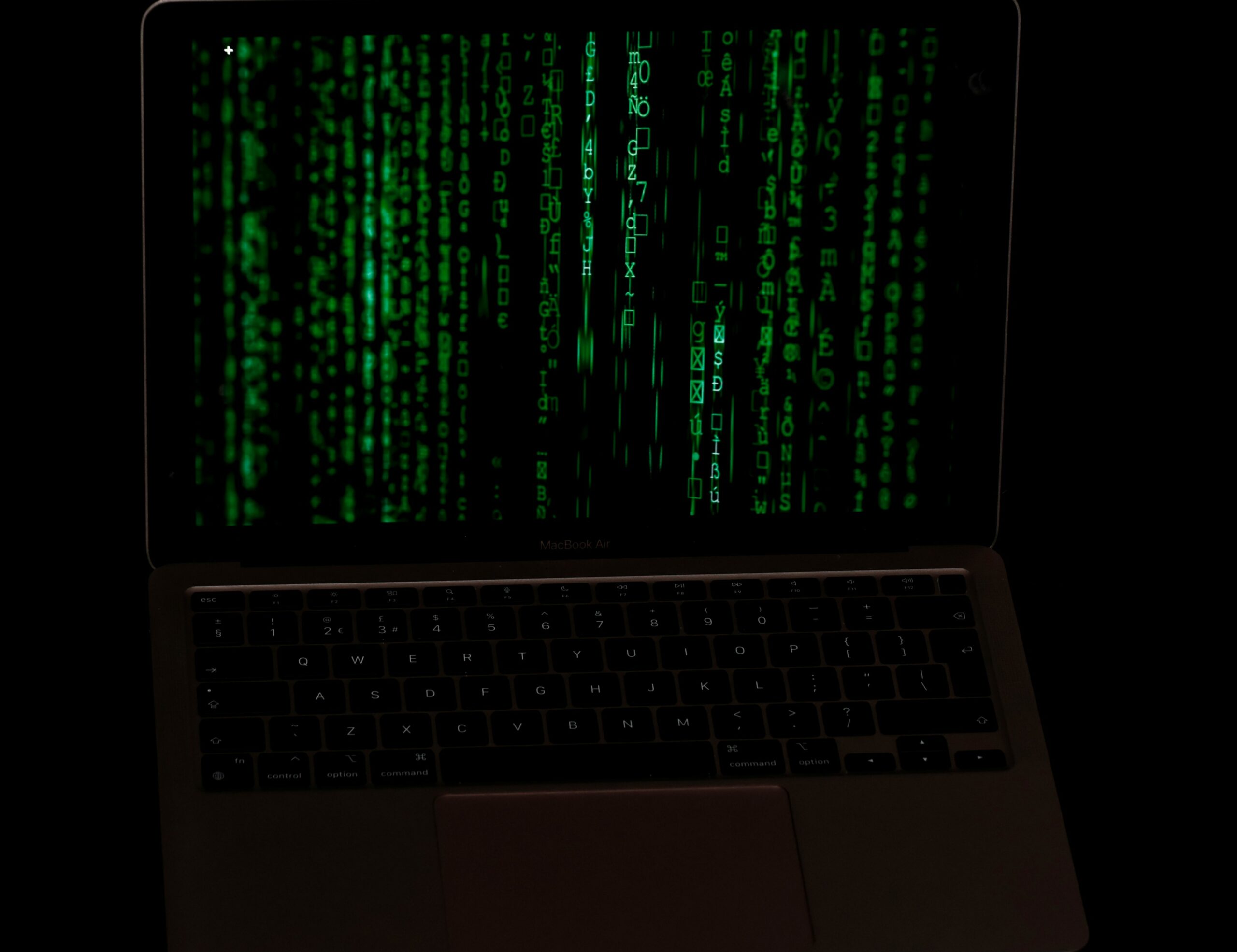 trg-CdzgzMlSGG4-unsplash